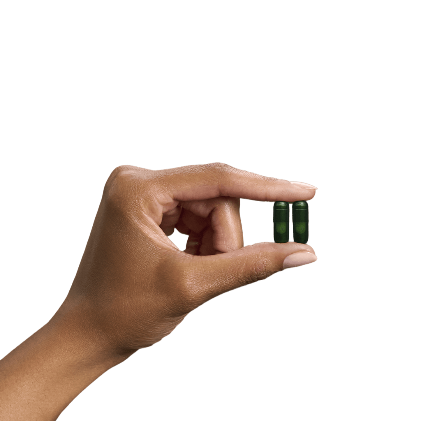 Seed DS-01 Daily Synbiotic