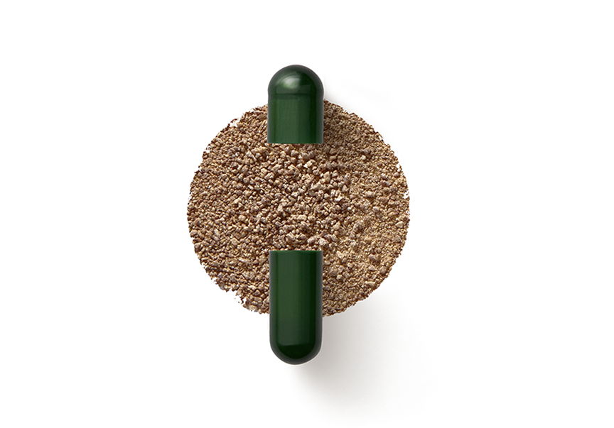 Seed DS-01 Daily Synbiotic