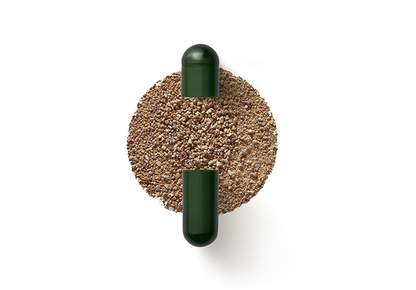 Seed DS-01 Daily Synbiotic
